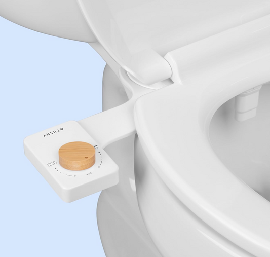 Bidet Toilet
